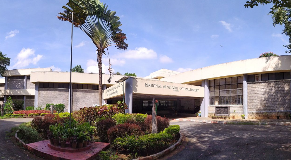 Regional Museum of Natural History Mysore, Mysuru (Mysore), Karnataka - Vushii.com